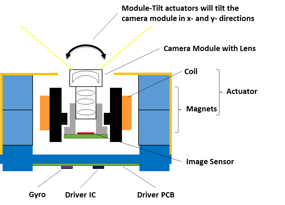 Module Structure